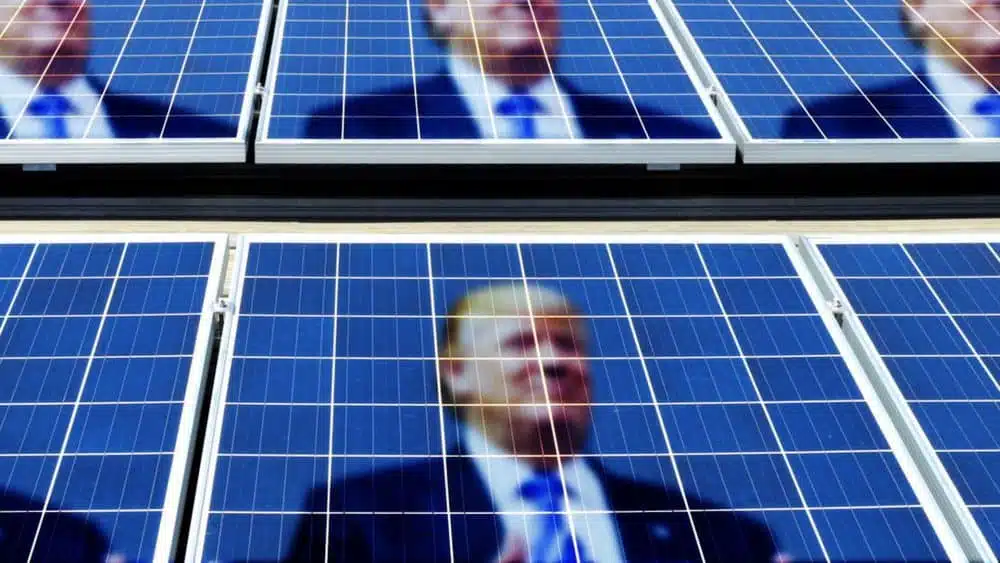 trump solar panel