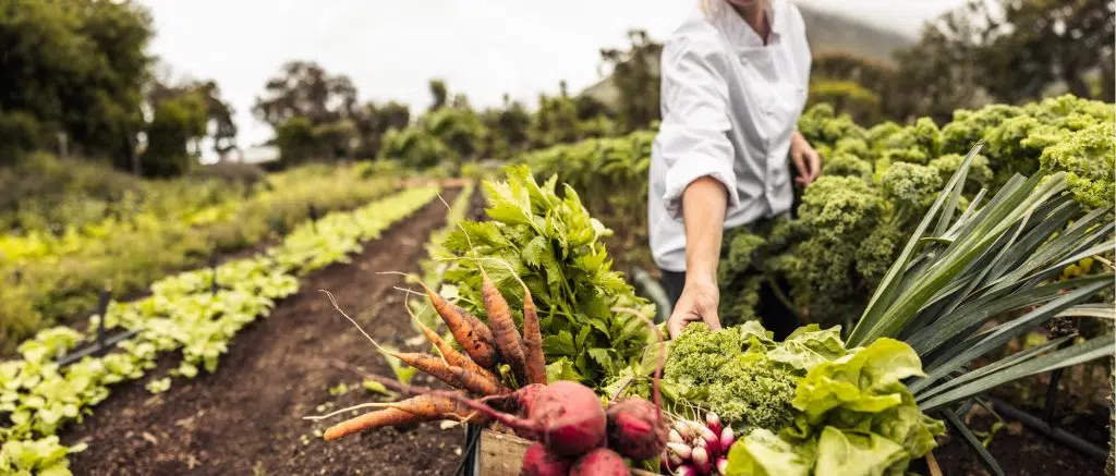 Sol-Ark Commercial Energy Systems Empower Agriculture